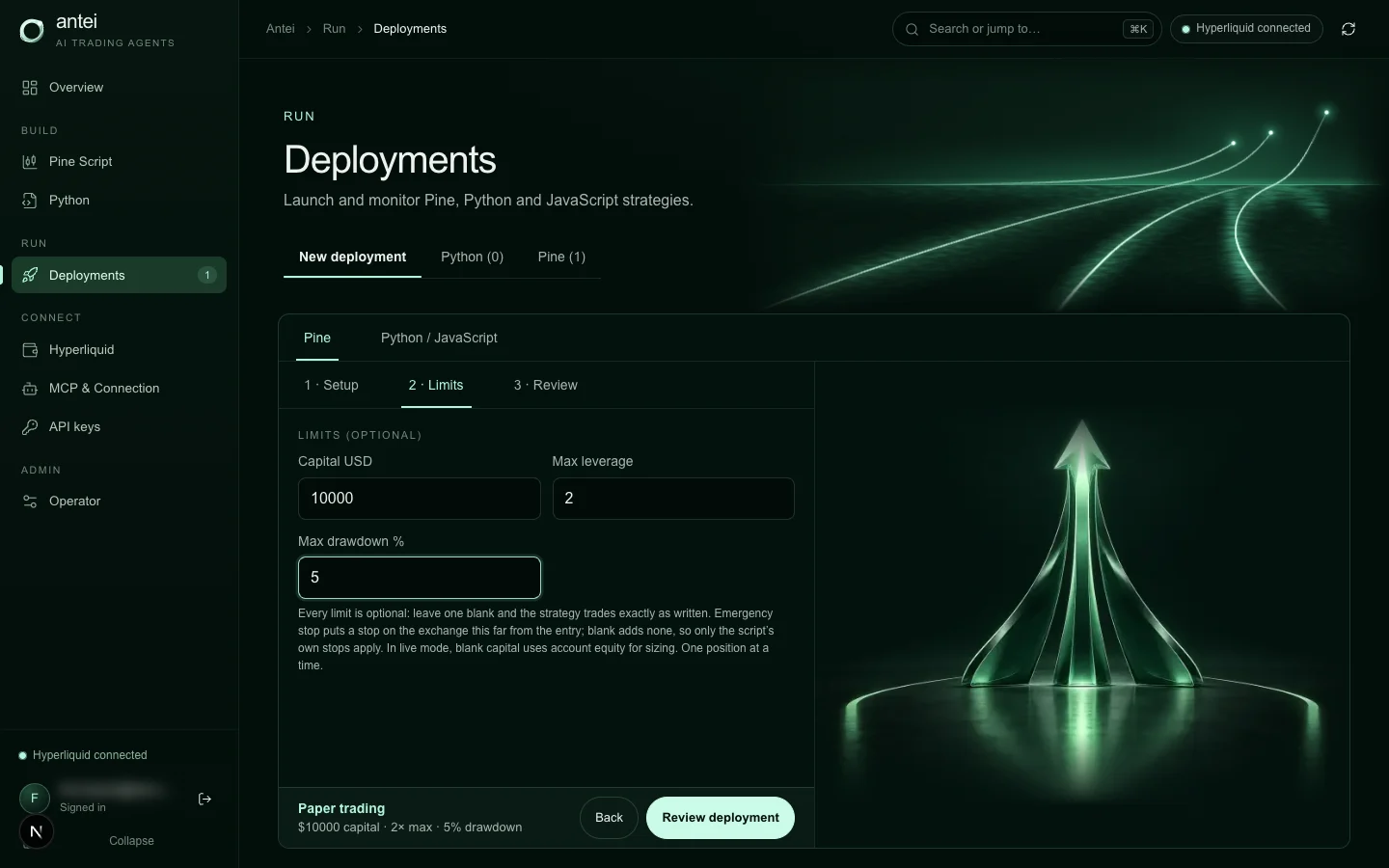 Antei’s Pine deployment form separates capital, leverage and drawdown before review.